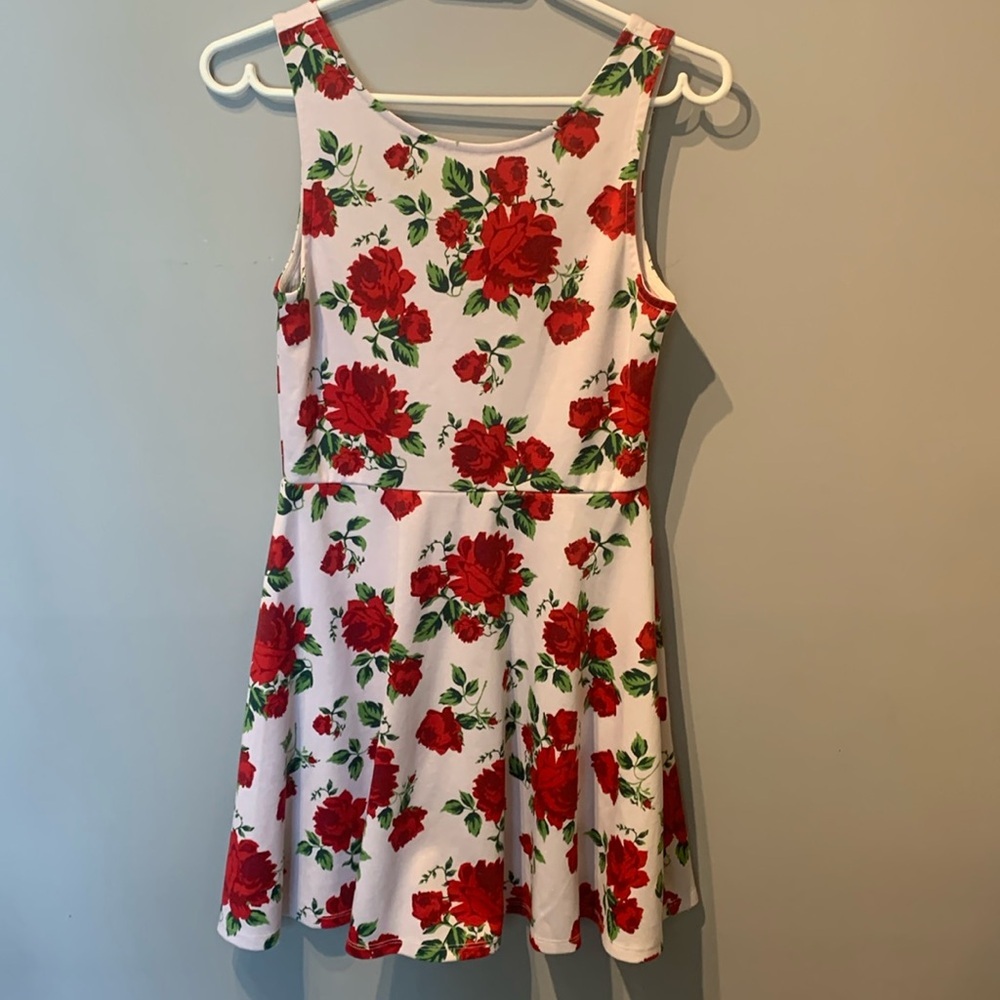 Divided Floral Red Roses Dress